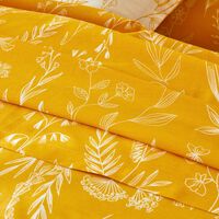 Drap plat